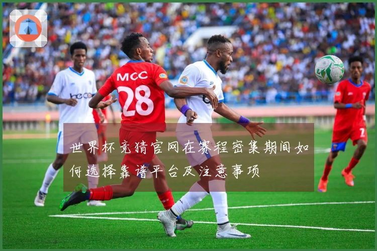 世界杯竞猜官网在赛程密集期间如何选择靠谱平台及注意事项