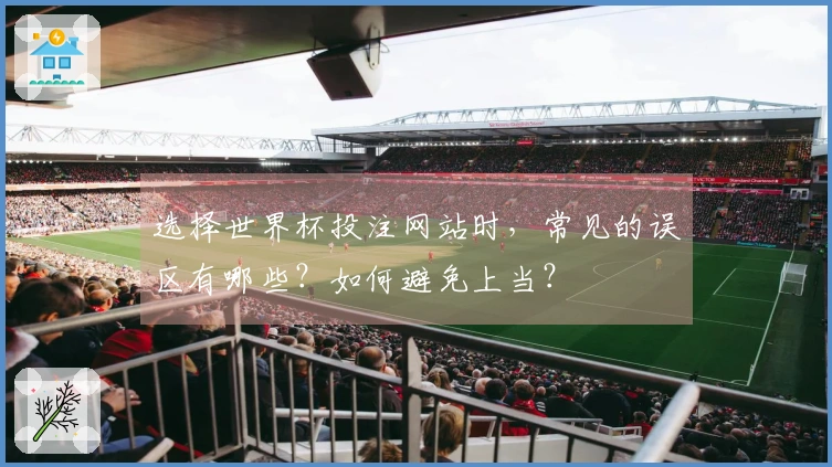 选择世界杯投注网站时，常见的误区有哪些？如何避免上当？