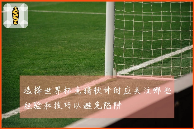 选择世界杯竞猜软件时应关注哪些经验和技巧以避免陷阱