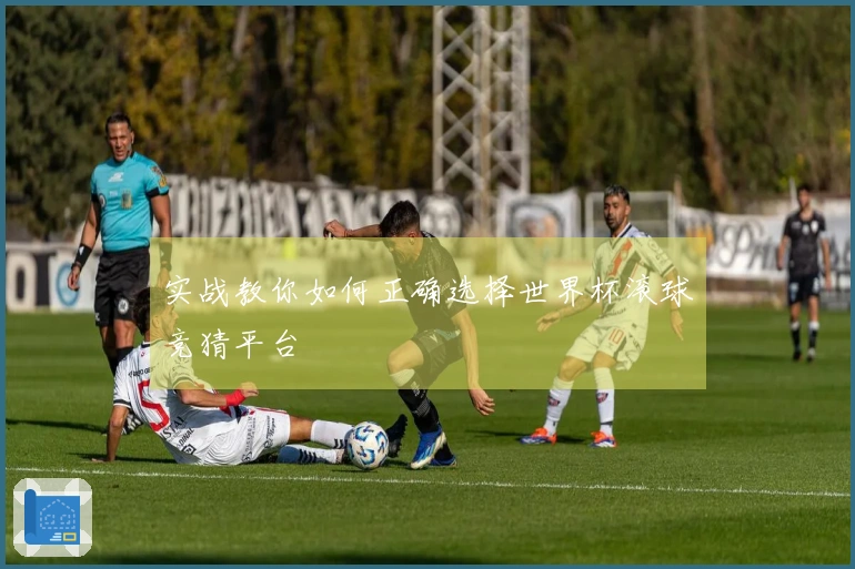 实战教你如何正确选择世界杯滚球竞猜平台