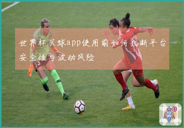 世界杯买球app使用前如何判断平台安全性与波动风险