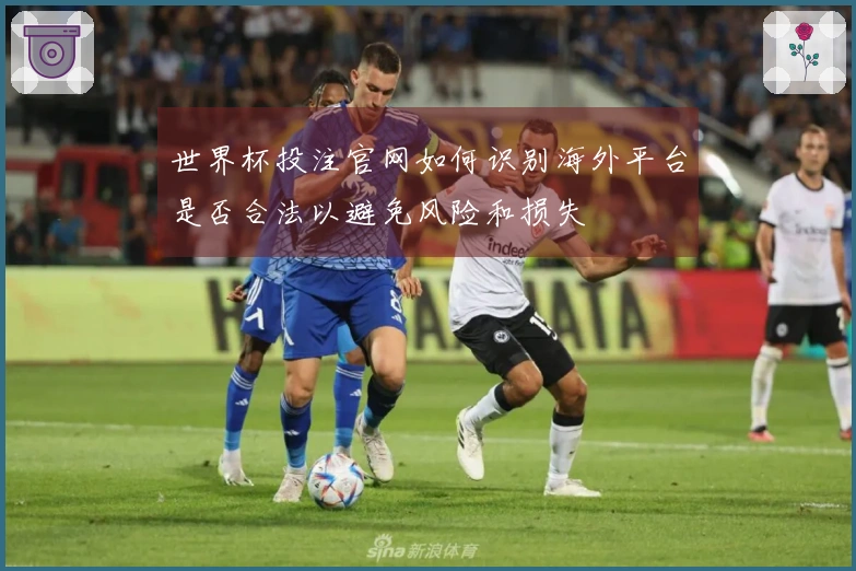 世界杯投注官网如何识别海外平台是否合法以避免风险和损失