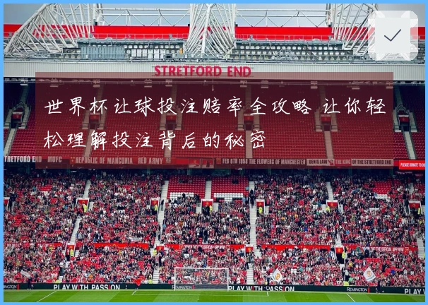 世界杯让球投注赔率全攻略 让你轻松理解投注背后的秘密