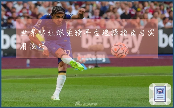 世界杯让球竞猜平台选择指南与实用技巧