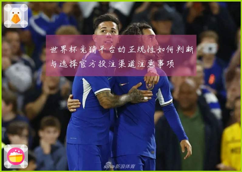 世界杯竞猜平台的正规性如何判断与选择官方投注渠道注意事项