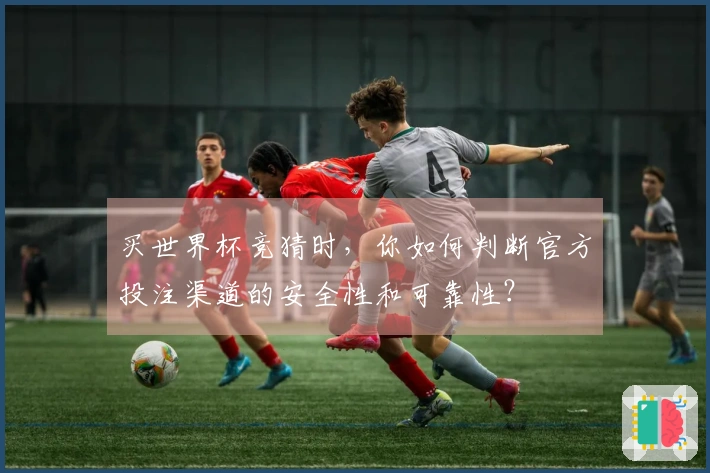 买世界杯竞猜时，你如何判断官方投注渠道的安全性和可靠性？