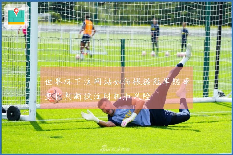 世界杯下注网站如何根据冠军赔率变化判断投注时机和风险