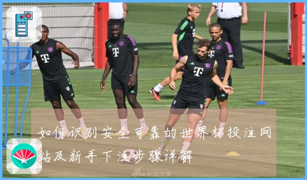 如何识别安全可靠的世界杯投注网站及新手下注步骤详解