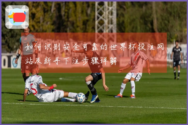 如何识别安全可靠的世界杯投注网站及新手下注步骤详解