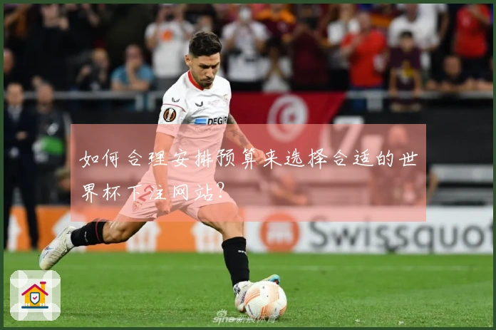 如何合理安排预算来选择合适的世界杯下注网站？