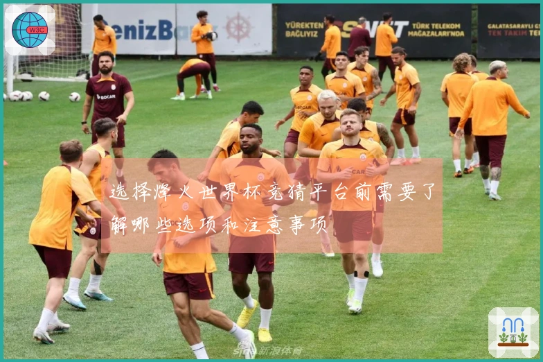 选择烽火世界杯竞猜平台前需要了解哪些选项和注意事项