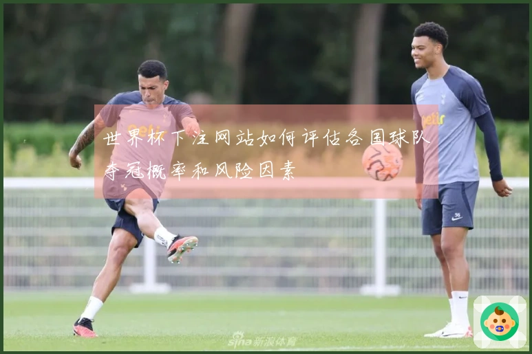 世界杯下注网站如何评估各国球队夺冠概率和风险因素