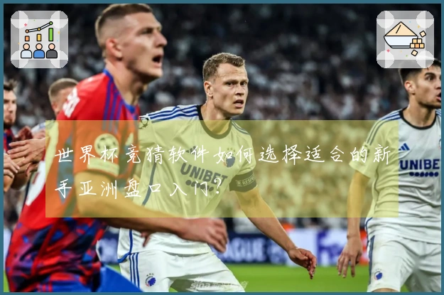 世界杯竞猜软件如何选择适合的新手亚洲盘口入门？