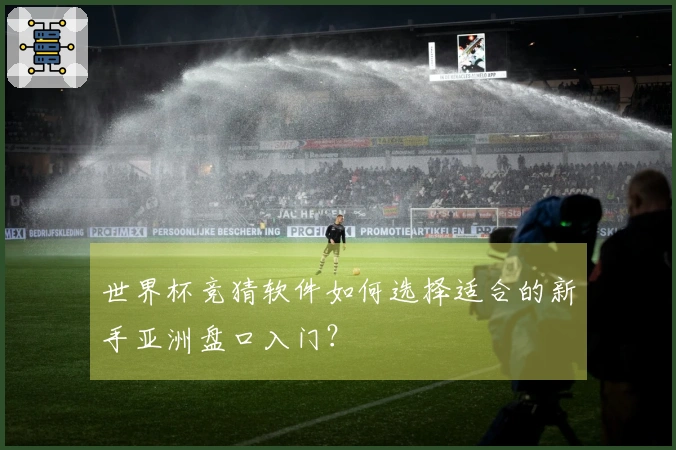世界杯竞猜软件如何选择适合的新手亚洲盘口入门？