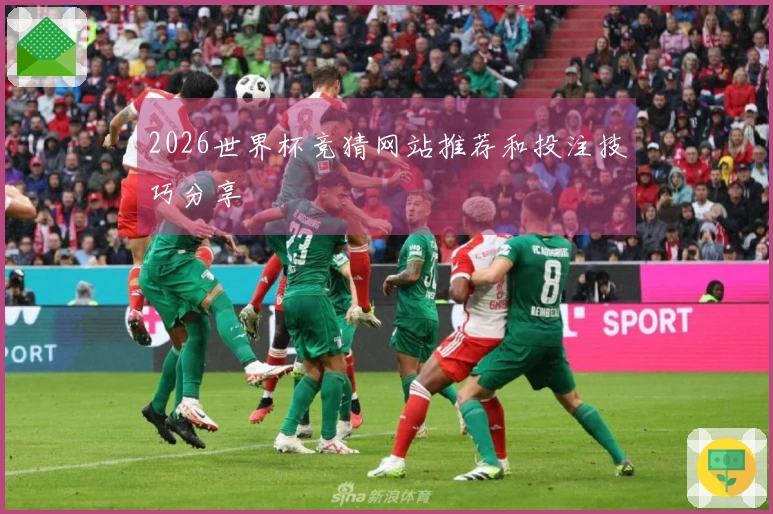 2026世界杯竞猜网站推荐和投注技巧分享