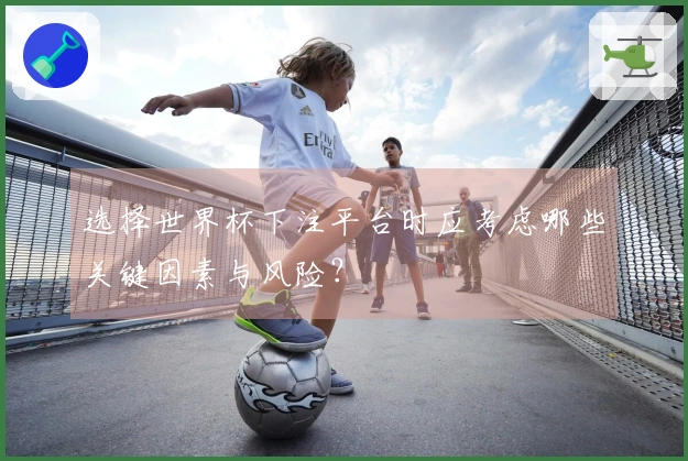 选择世界杯下注平台时应考虑哪些关键因素与风险？