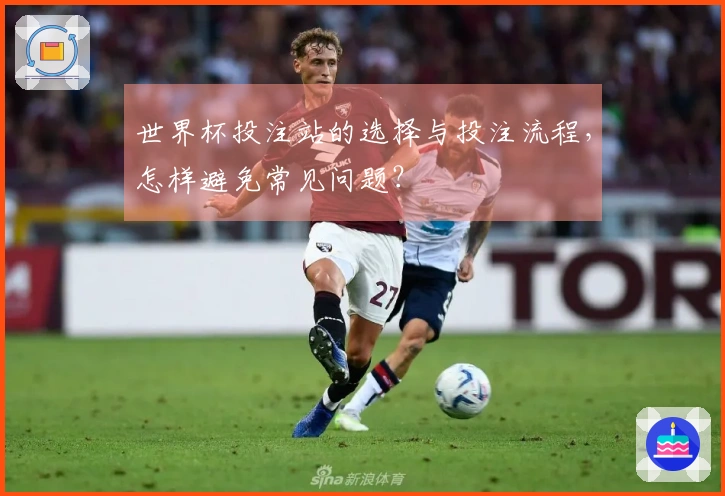 世界杯投注站的选择与投注流程，怎样避免常见问题？