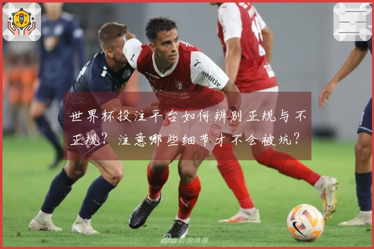 世界杯投注平台如何辨别正规与不正规？注意哪些细节才不会被坑？