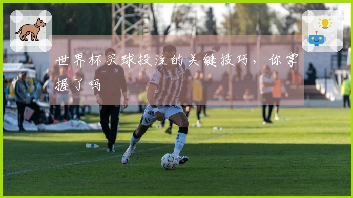 世界杯买球投注的关键技巧，你掌握了吗