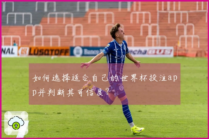 如何选择适合自己的世界杯投注app并判断其可信度？