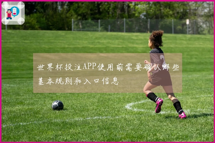 世界杯投注APP使用前需要确认哪些基本规则和入口信息
