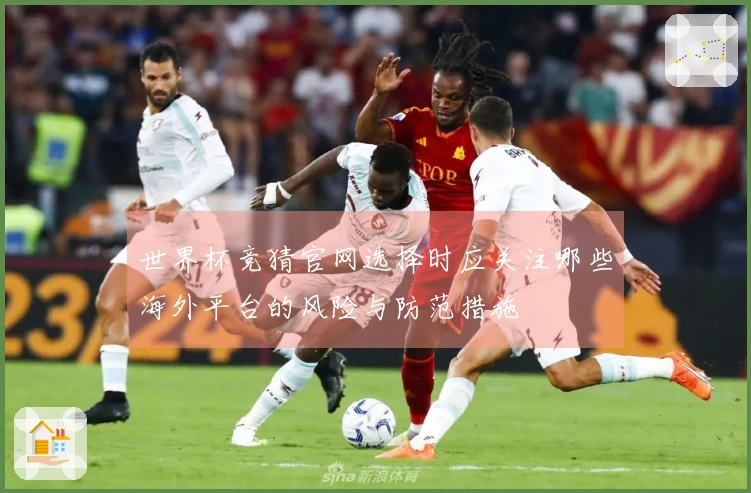 世界杯竞猜官网选择时应关注哪些海外平台的风险与防范措施