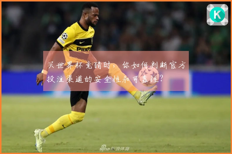 买世界杯竞猜时，你如何判断官方投注渠道的安全性和可靠性？