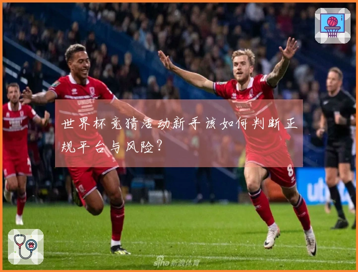 世界杯竞猜活动新手该如何判断正规平台与风险？