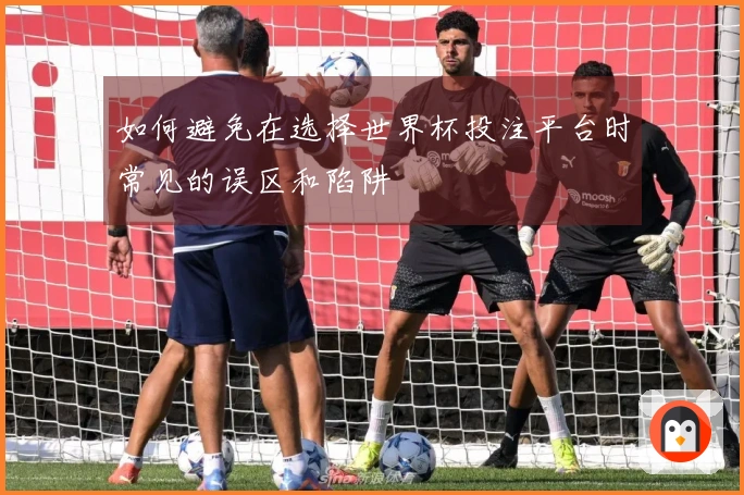 如何避免在选择世界杯投注平台时常见的误区和陷阱