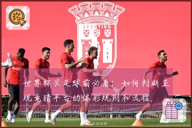 世界杯买足球前必看：如何判断正规竞猜平台的体彩规则和流程